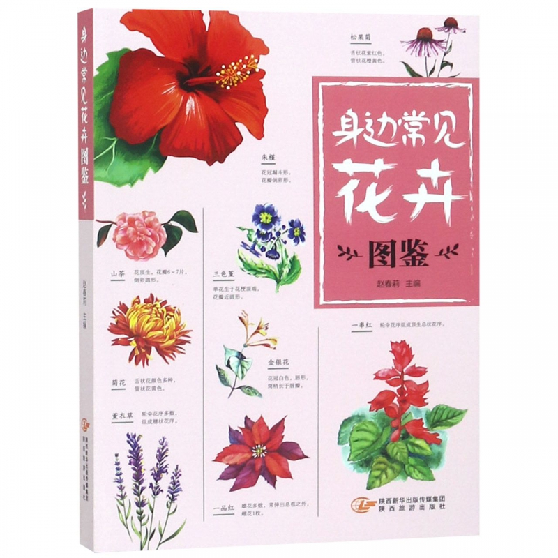 身边常见花卉图鉴