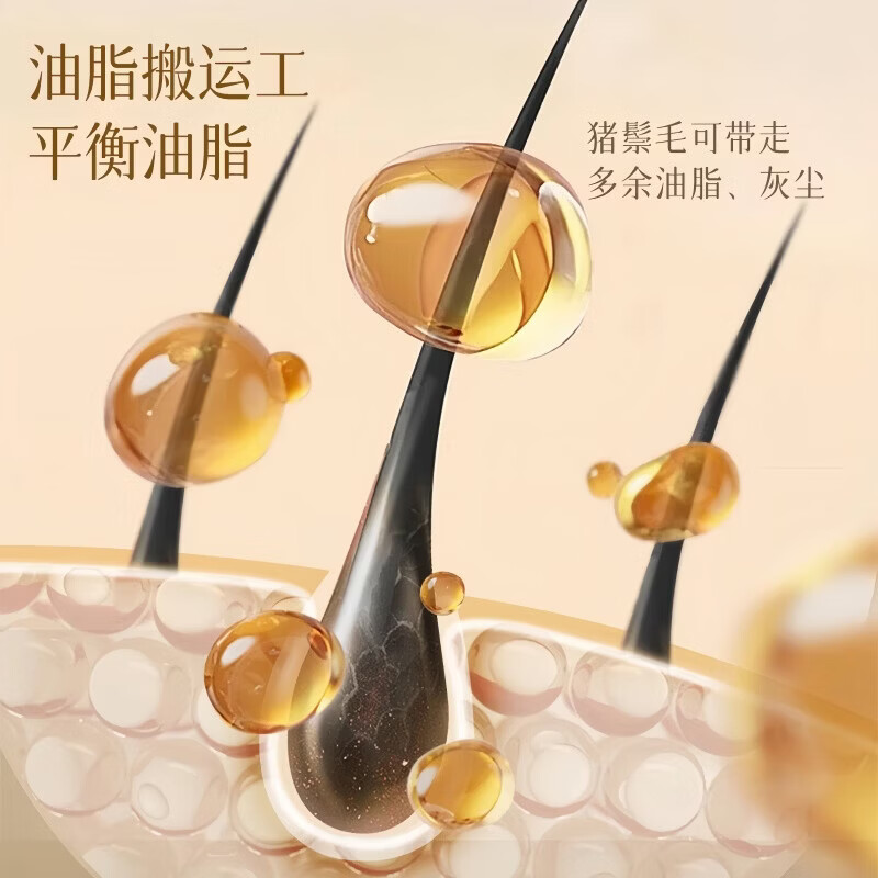 便携折叠猪鬃毛梳鬓角梳女士化妆盘发卷发蓬松造型美发打毛小梳子 猪鬃毛折叠梳-琥珀色-带耳朵款-3个