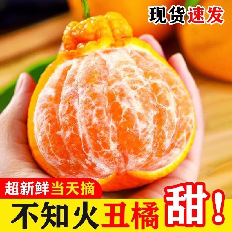 春公子四川丑橘不知火当季新鲜现摘应季水果桔子丑八怪 带箱3斤 大果【果径75-80mm】新鲜超甜