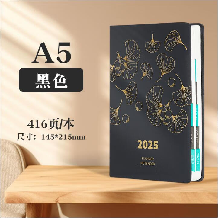 2025年日程本計劃表效率手冊工作日志日歷本365天每日一頁時間管理學(xué)習(xí)記事本商務(wù)辦公定制可定制 A5黑色-平裝