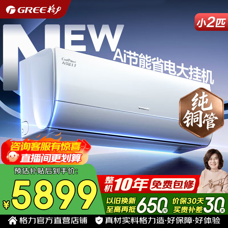 格力空调 Ai节能王子 2匹 新一级能效 变频冷暖 蒸发器双排铜管 客厅优选 壁挂式空调挂机 家电补贴 2匹 AI节能王子 Ai省电 内机双排铜管蒸发器