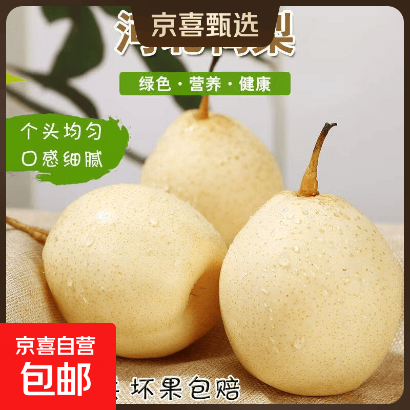 赵州水晶鸭梨河北鸭梨威县鸭梨12 鸭梨带箱2斤净重1.6-1.8斤单果150g