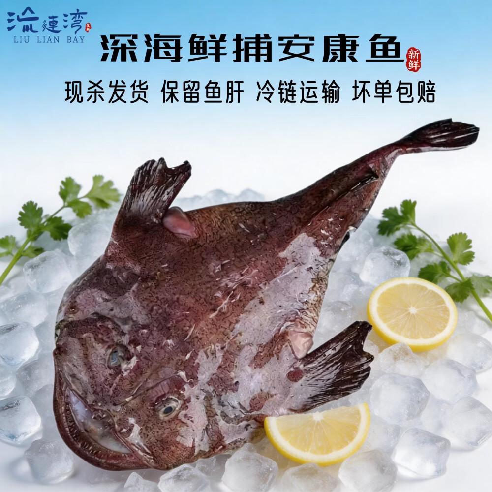 流连湾安康鱼整条鲜活冷冻丑鱼 鮟鱇鱼新鲜带鱼肝和鱼肚蛤蟆鱼 鱼类生鲜 3-3.5斤【海鲜家常菜】
