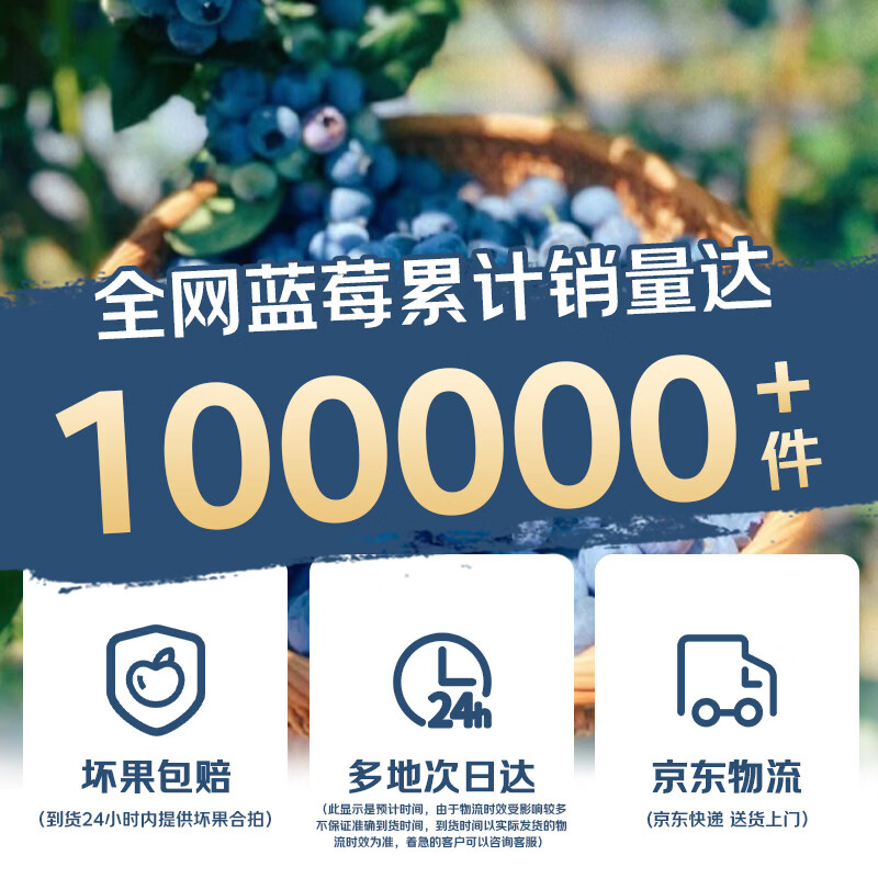 硕莓遂禧正宗云南蓝莓 新鲜水果应季现摘 8盒装*100g 单果12mm+