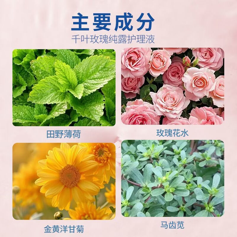 雅美方千叶玫瑰纯露护理液私处洗护女性外阴清洗液私密清洁去异味温和 玫瑰纯露护理液一瓶