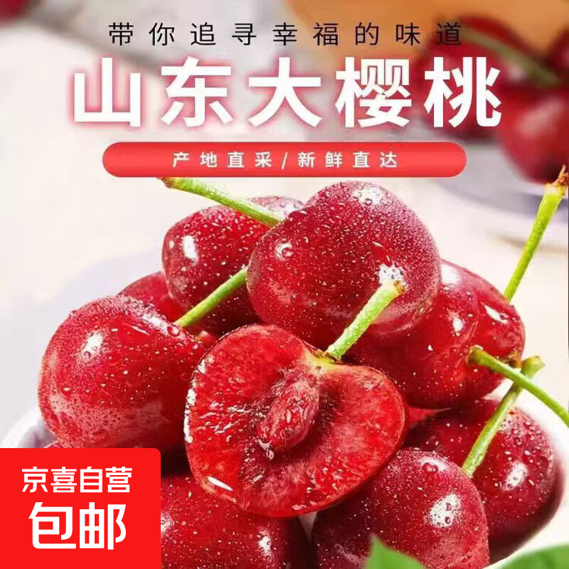 （5月20号前发出）山东大樱桃新鲜水果京东包邮 4.7斤(净重) 小果 XL 单果直径20mm+