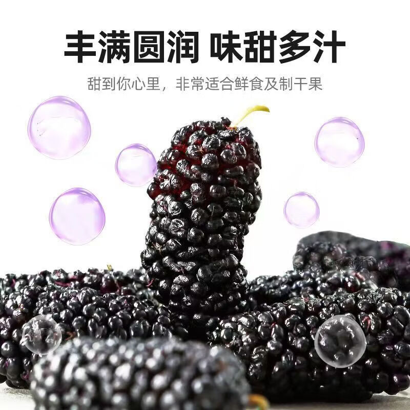 同仁堂（TRT）桑葚干特级 正宗新疆黑桑椹果干养生免洗即食 中药材饮泡水喝茶 特级桑葚干 250g*4罐 含罐装