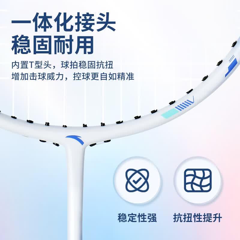 安踏(ANTA)全碳素羽毛球拍一对套装专业级儿童小学生6-15岁全碳素超轻耐打 高颜值碳素对拍【赠六球+2手胶+球包】
