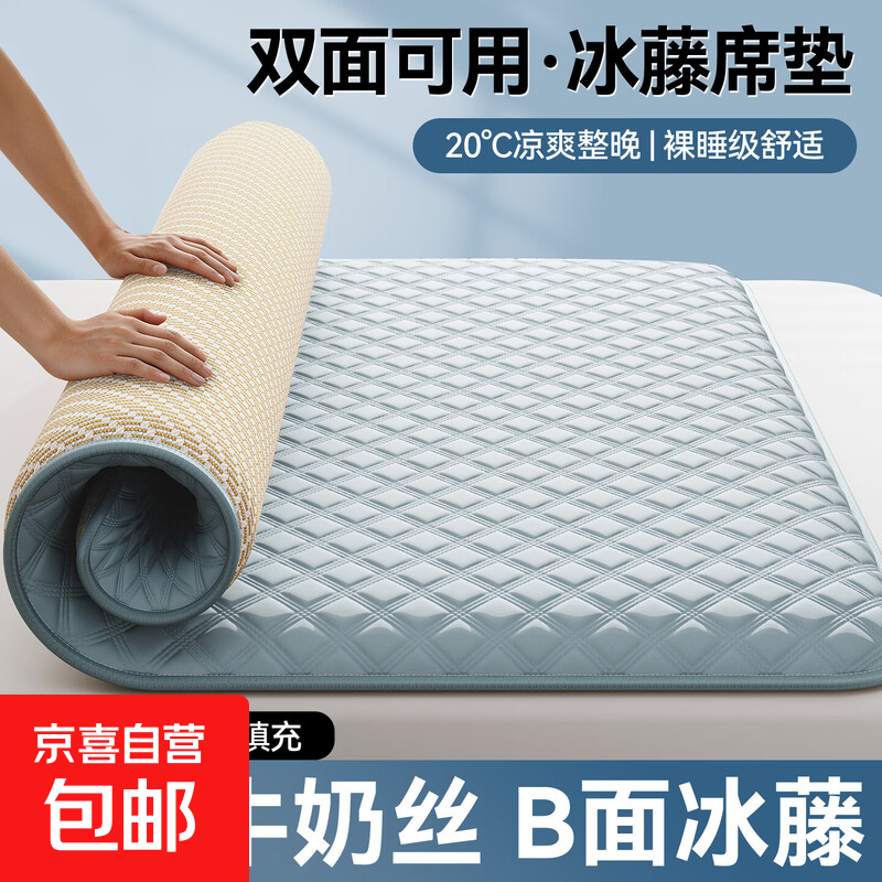 夏冬两用凉席床垫冰藤席加厚学生宿舍床垫租房专用睡垫地铺睡垫子 椰奶蓝【约厚5cm】 120x200cm【单人床】