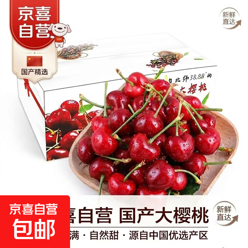 山东烟台大樱桃 5J美早 脆甜黑珍珠巨无霸新鲜冷链到家礼盒装5 2.8斤(净重) 彩箱礼盒 J中果（26-28mm）