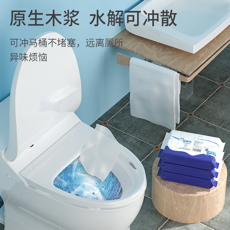 爱肤佳（aifujia）湿厕纸巾小包独立便携家庭装儿童孕妇成人可冲马桶私处用如厕清洁 【便携装 可冲入马桶】40片X3包