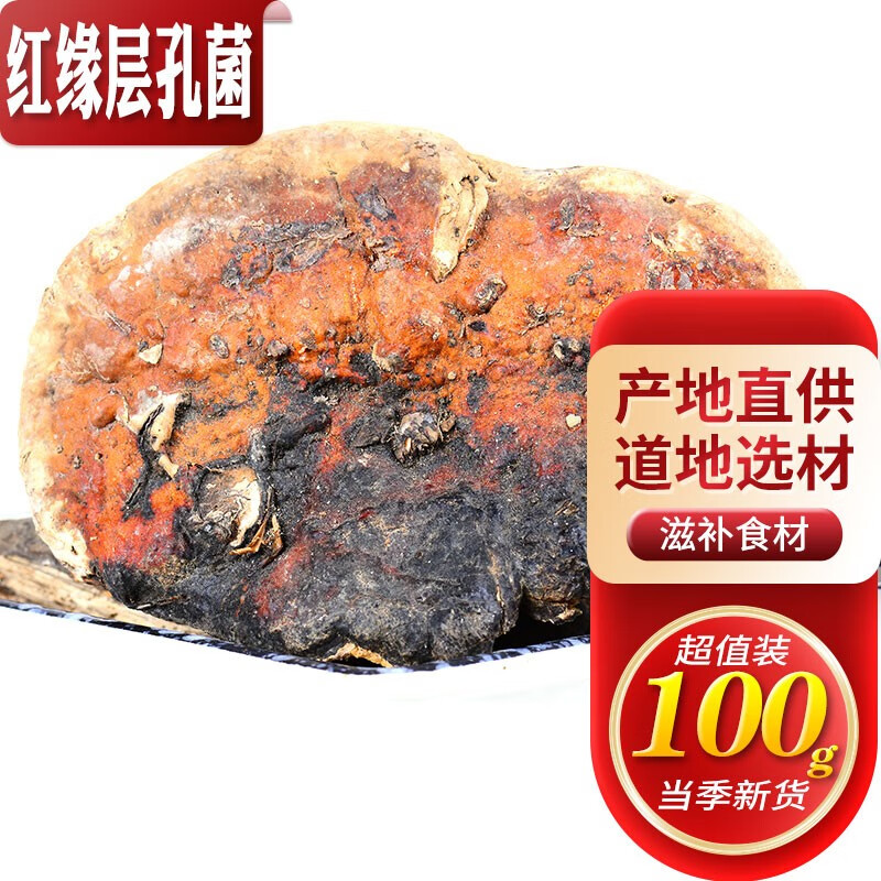 滋真堂 灵芝 红缘层孔菌 长白山红缘拟层孔菌林下无柄赤芝整枝可切片