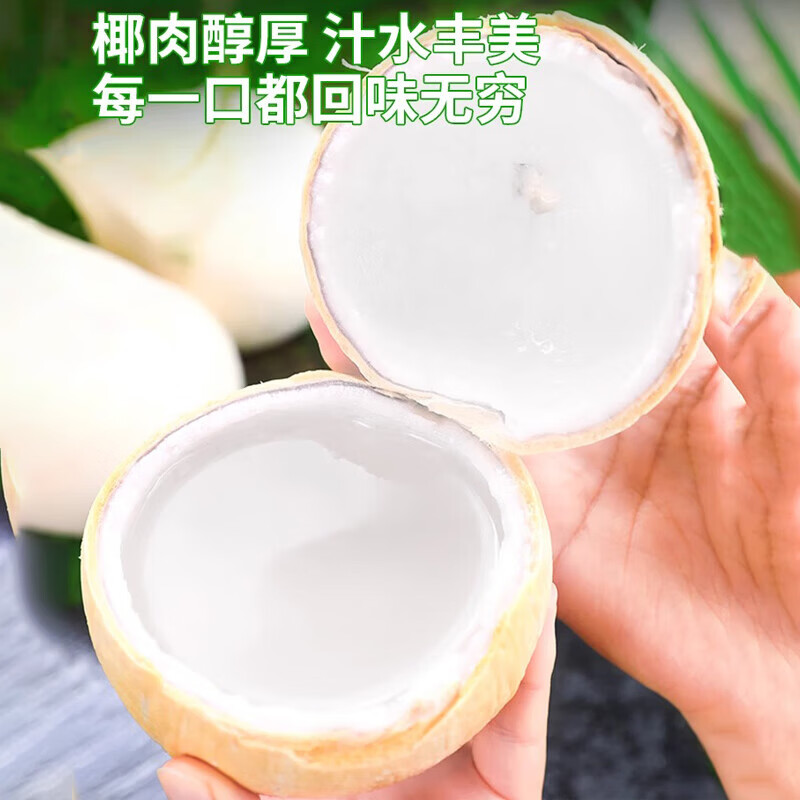 鲜宝道海南新鲜椰皇当季水果 9个椰皇单果300克起