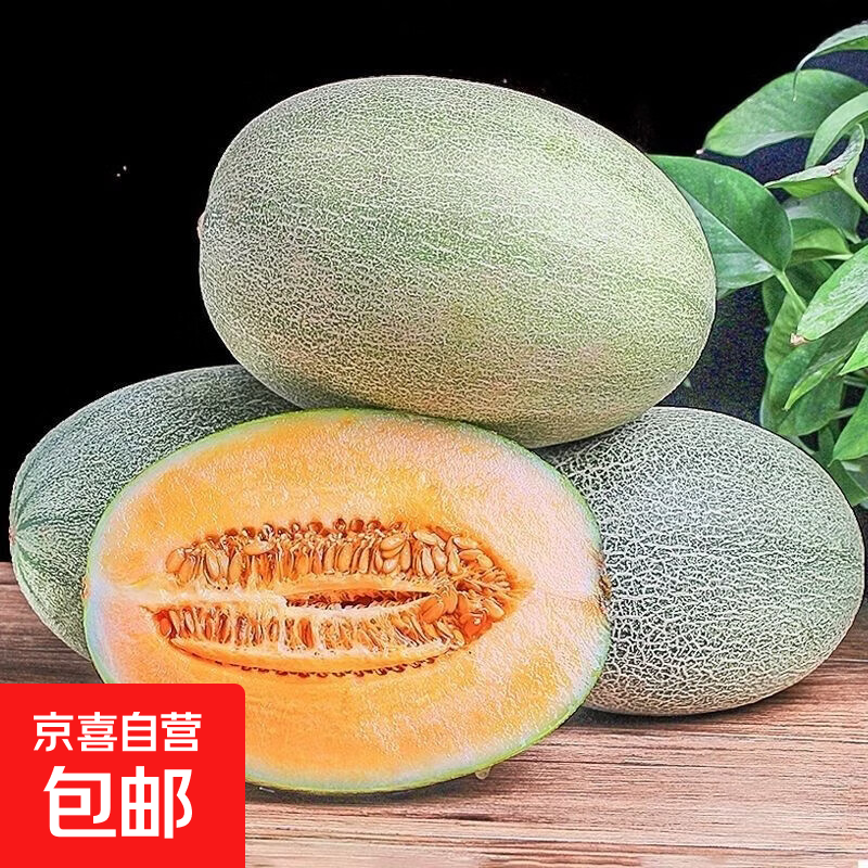 哈密瓜新鲜应季甜脆蜜瓜现摘皮薄肉厚整箱包邮 哈密瓜带箱8-9斤