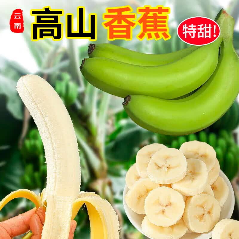 东鲜丰云南青香蕉新鲜高山香蕉水果国产香蕉 净重4.5斤【人工挑选】
