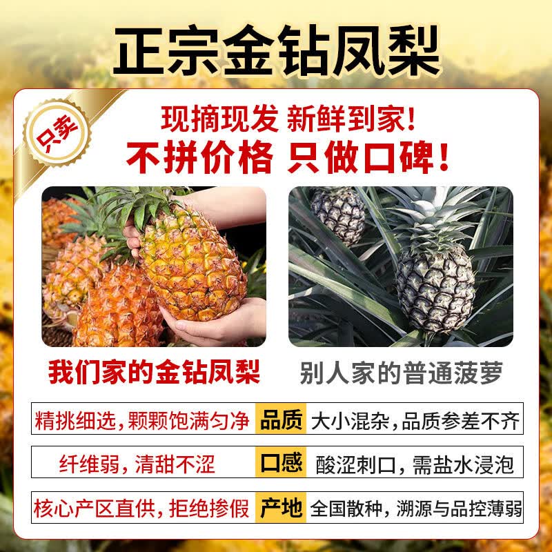 亩家田海南金钻凤梨树上熟正宗手撕无眼菠萝孕妇热带水果当季礼盒整箱 9斤大果精选装【3-6个】