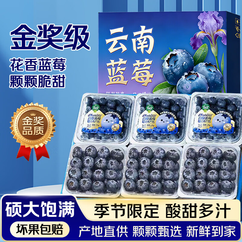硕莓遂禧正宗云南蓝莓 新鲜水果应季现摘 8盒装*100g 单果12mm+