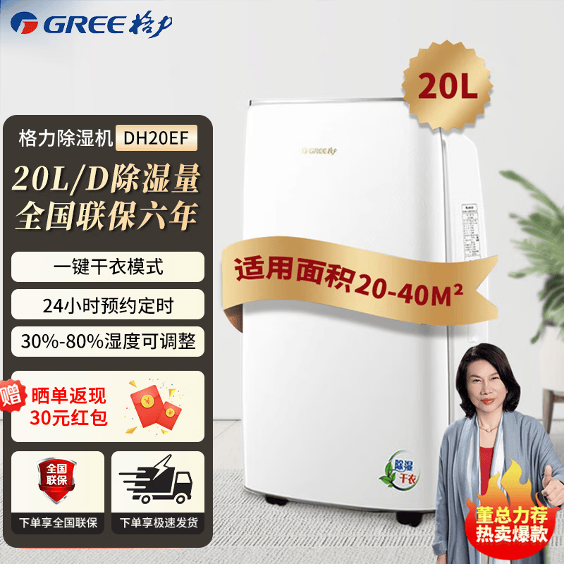 格力（GREE）除湿机家用客厅卧室智能除湿器轻音全屋祛味除潮湿气抽湿机室内吸湿机湿器地下室干燥机回南天除湿 20L/天 20-40㎡ DH20EF