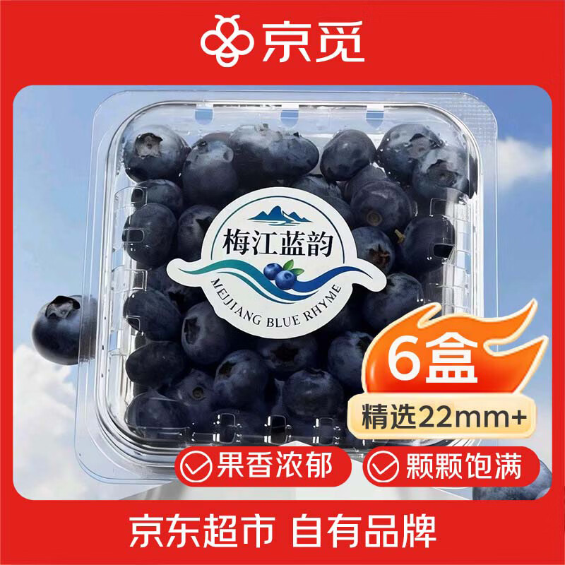 京觅江西梅江蓝韵 花香蓝莓6盒装100g/盒 精选22mm+水果源头直发包邮