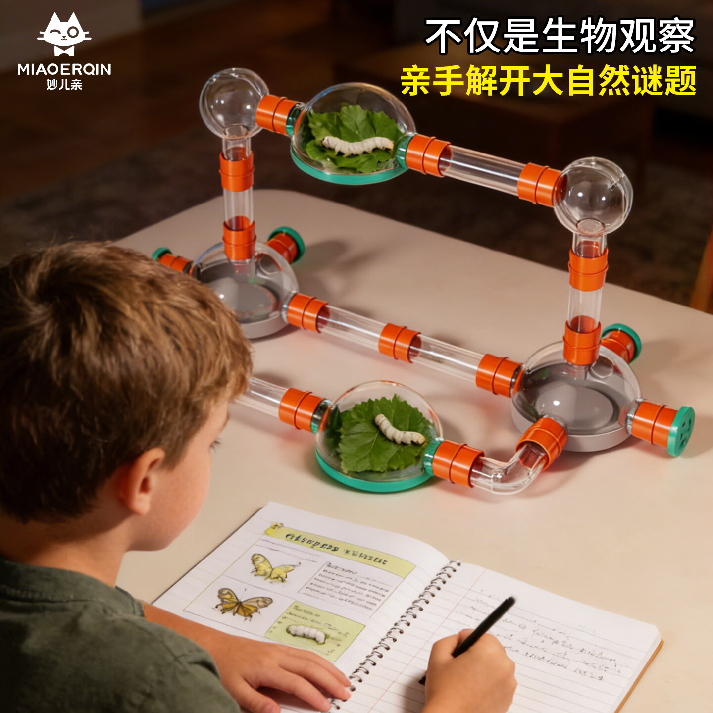 妙儿亲儿童昆虫饲养拼插积木观察盒户外探索套装可伸缩显微镜科学实验 豪华组【伸缩显微镜套装+养殖观察盒套装】