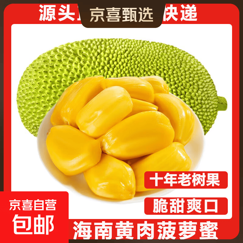 海南黄肉菠萝蜜新鲜水果波罗当季三亚特产一个装干包老树一级 净重15-20斤【生果勿切】