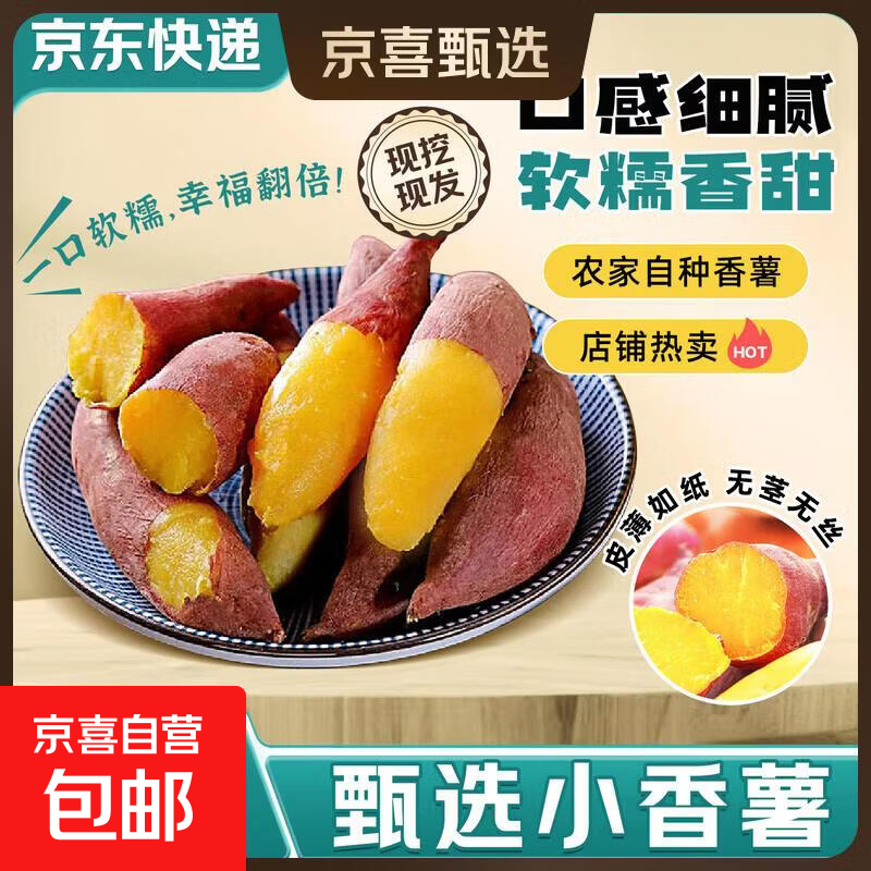 正宗天目山小香薯软糯香甜新鲜红薯小红薯超市直播间京东买菜 中大果（净重5斤） 【单果100g+】
