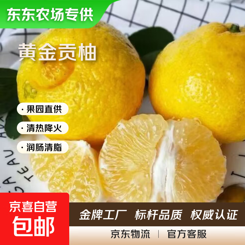 【东东农场专供】黄金贡柚湖南贡柚怀化新鲜水果黄肉甜柚子 3斤净重 60mm+