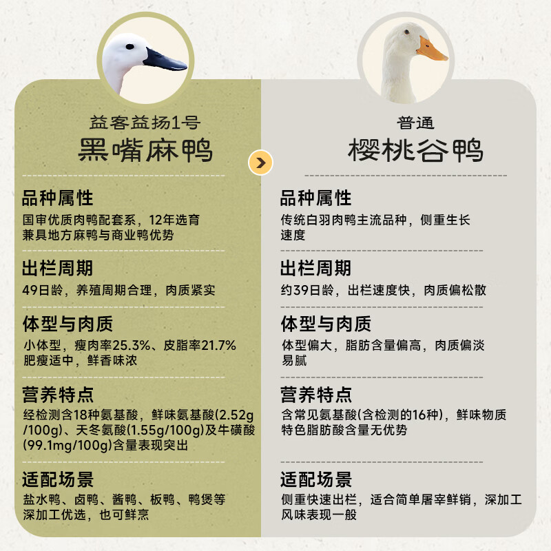 益客黑嘴麻鸭1kg煲鸭汤 烤鸭食材 冷冻 新鲜鸭肉食材 1KG