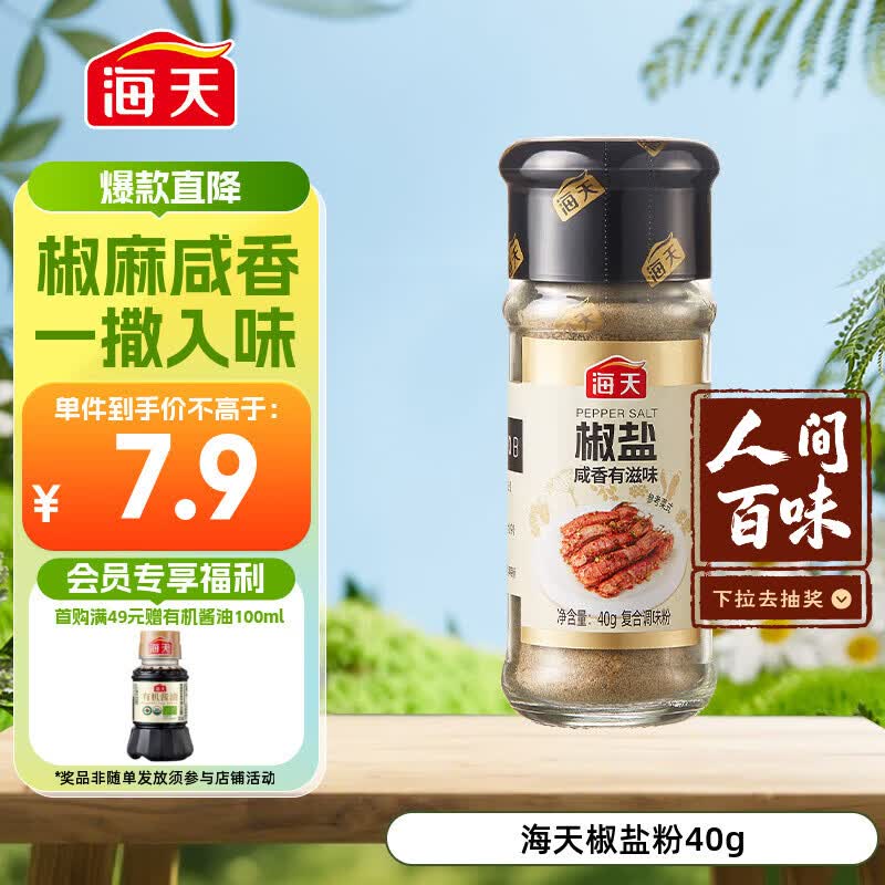 海天 椒盐粉 40g 烧烤煎炸 基围虾皮皮虾烧烤撒料蘸料