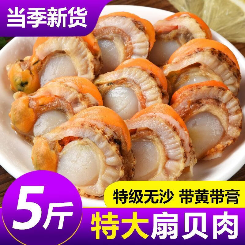【整箱五斤】新鲜现剥特大扇贝肉特大号海鲜海捕黄带冷冻野生整箱 特大号扇贝肉【5袋*500g】五斤装 无沙无泥【活贝鲜剥】带黄带膏