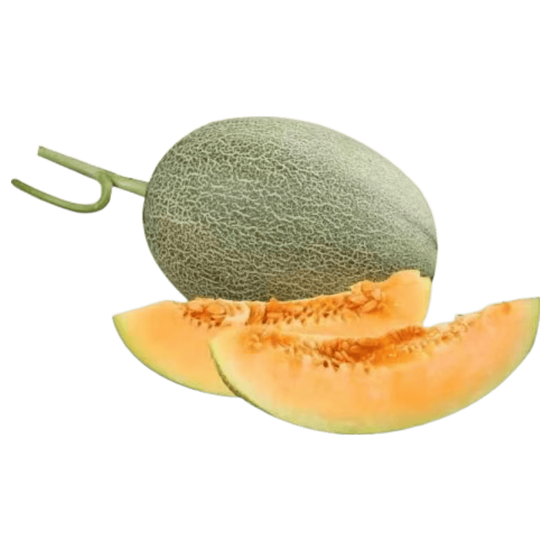 ���ܹ� ����Ӧ������۹� ��ժƤ����� ������� ����8-9�� 19.9Ԫ