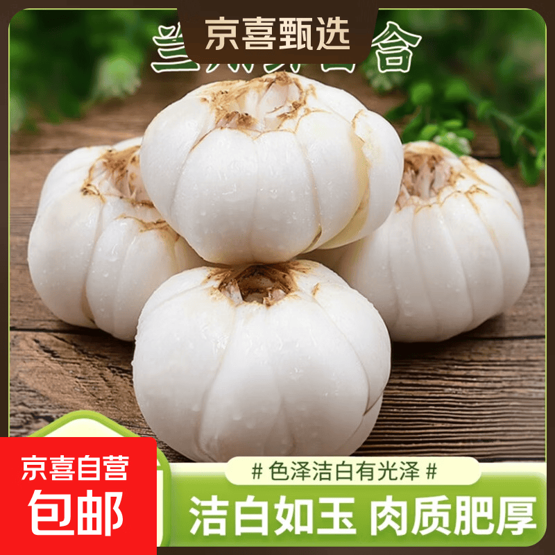 【东东买菜】甘肃兰州鲜甜百合当季现采软糯甜润农家特供 四头1袋装（125g）净重 尝鲜