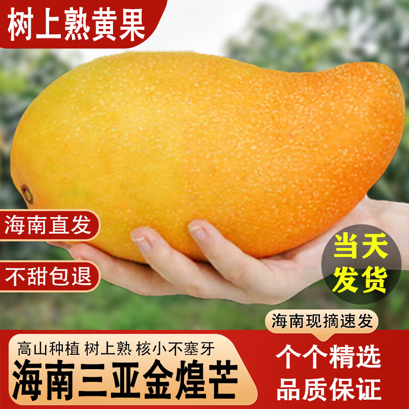 鲸咚亿农正宗海南金煌芒三亚水仙大芒果纸核芒热带当应季新鲜水果年货礼盒 5斤大果