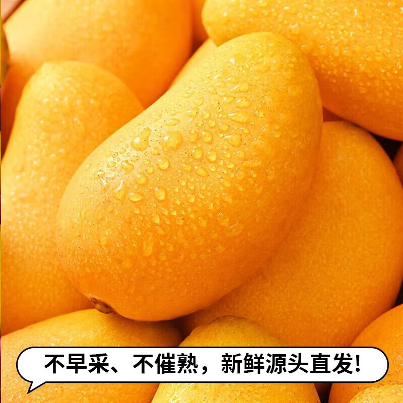 芒果品质保证