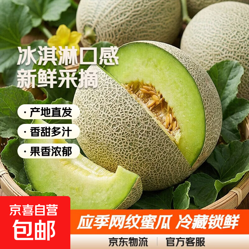 【东东农场专供】冰淇淋口感网纹蜜瓜新鲜采摘应季水果 网纹瓜带箱1.5-2斤