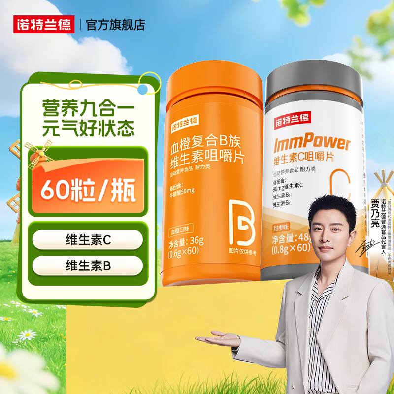 诺特兰德复合维生素b族维生素C咀嚼片VC片vb1b2b6b12烟酸叶酸官方旗舰店 60粒*2瓶 【维生素B+维生素C】各1瓶