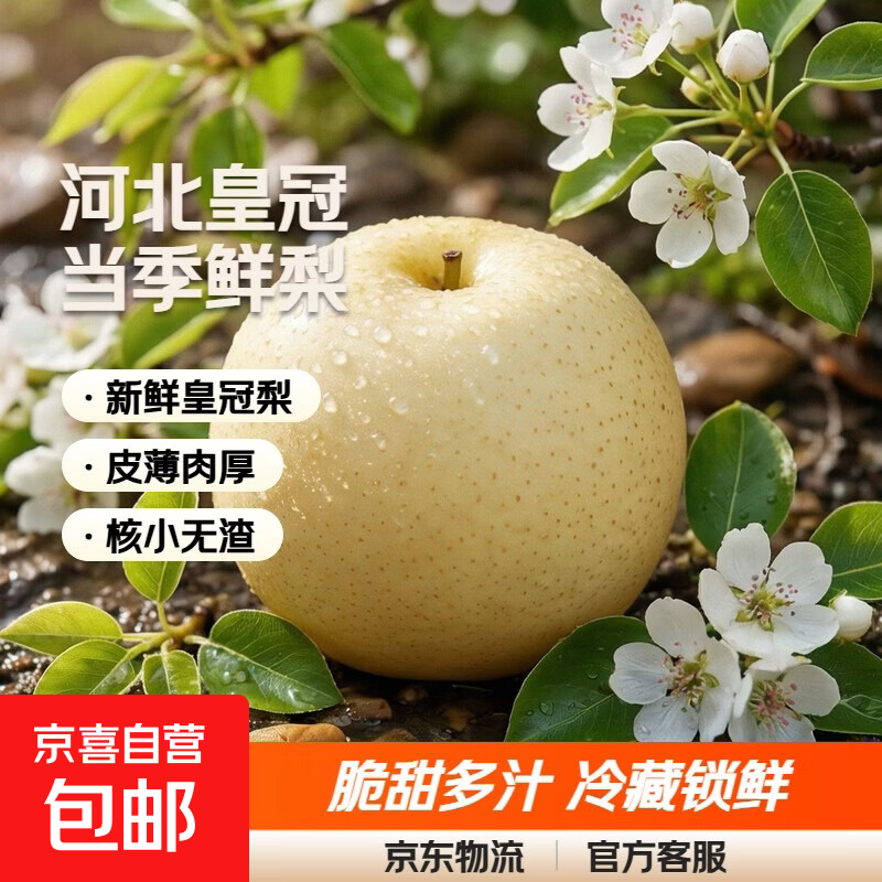 【远达新11同款】河北皇冠梨新鲜水果当季甜脆冰糖梨 带箱2斤装