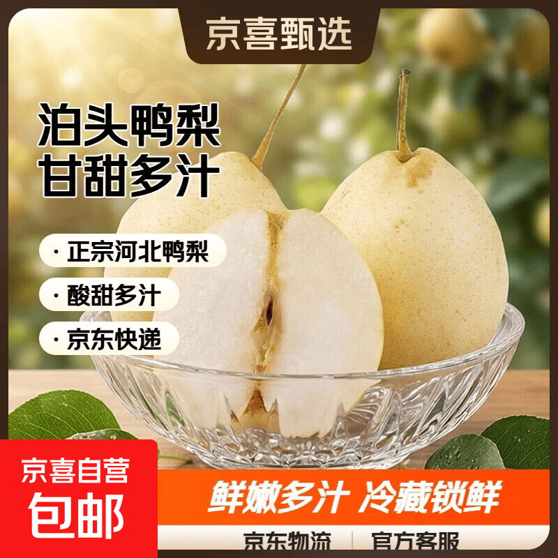 河北泊头鸭梨之乡甘甜可口汁水充盈晋州鸭梨 9斤箱装冷藏鲜果
