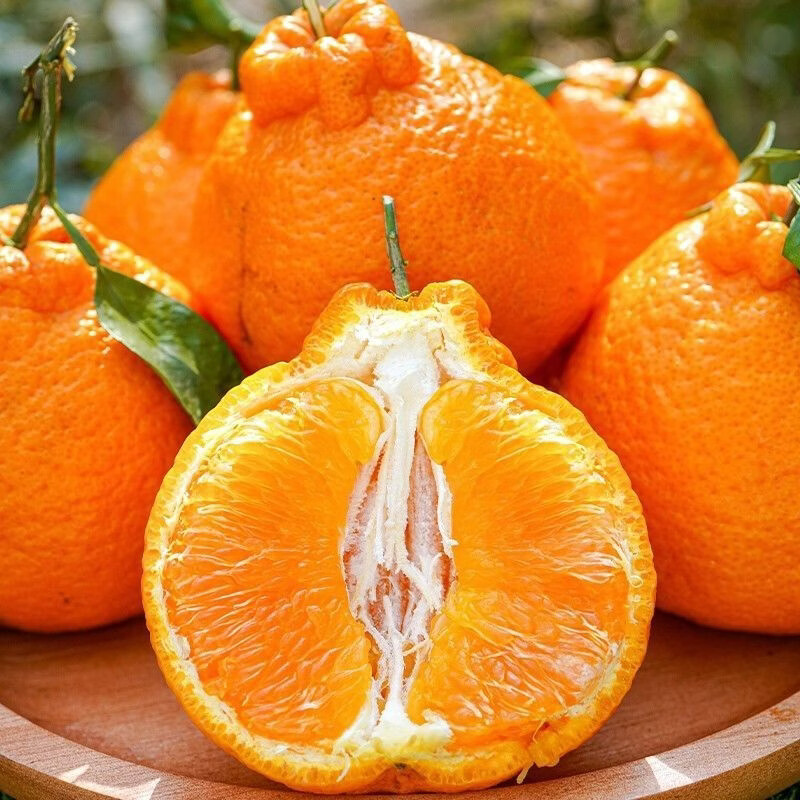 春公子四川丑橘不知火当季新鲜现摘应季水果桔子丑八怪 带箱3斤 大果【果径75-80mm】新鲜超甜