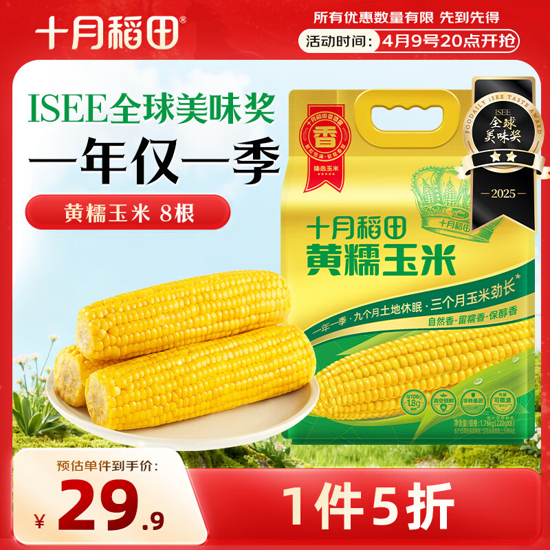 十月稻田 黄甜糯玉米 8根 3.52斤 真空包装 东北粘玉米棒 低脂早餐