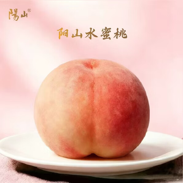 阳山水蜜桃 正宗无锡阳山水蜜桃 新鲜现摘时令水果 高端礼盒装 一级果4-5两8枚礼盒装净重3.2斤多