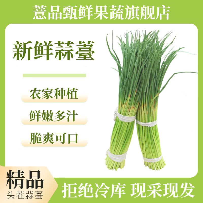 薏品甄鲜河南当季农家自种蒜薹 头茬精品蒜薹 生鲜蔬菜 凉拌炒制皆可 净重4.5斤