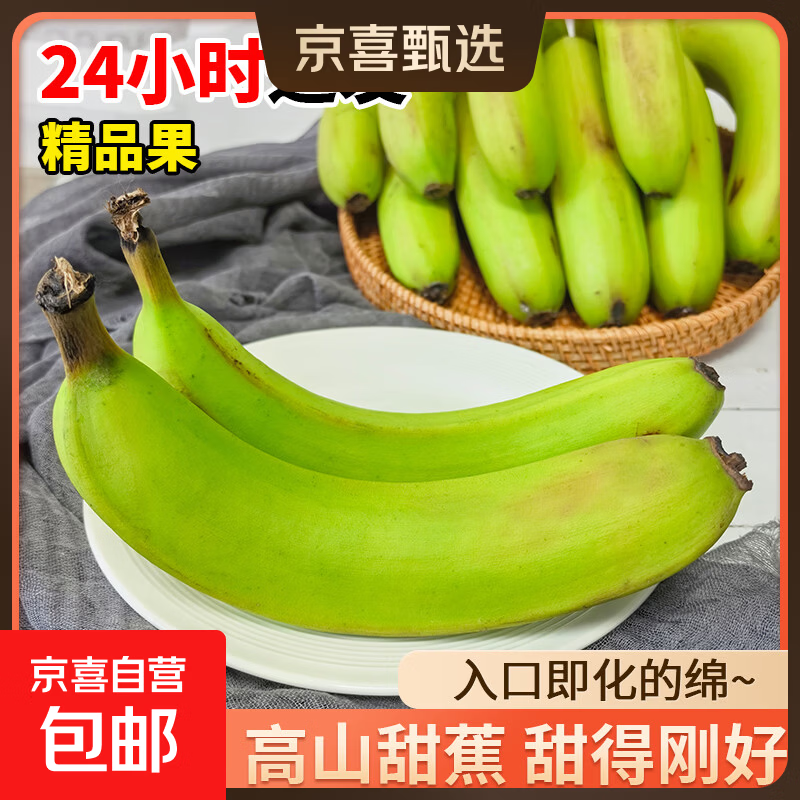 京喜加【当季新鲜】高山甜香蕉正宗当季水果现摘现发软糯香甜一整箱带箱 高山香蕉   带箱2斤