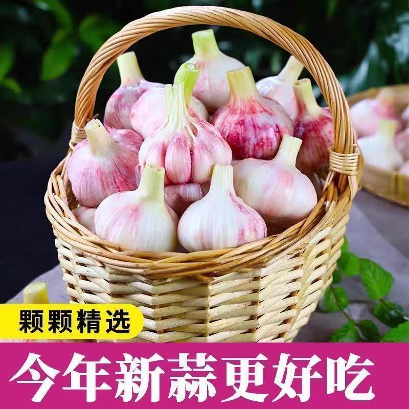 康田汇 陕西新鲜大蒜头现挖新蒜紫皮大蒜批发鲜蒜红皮蒜整箱 3-3.5斤单果4-5CMM净重3斤