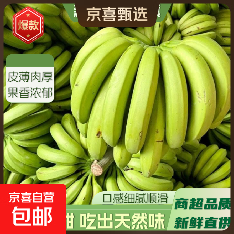 广西新鲜高山香蕉青果自然熟高山薄皮新鲜采摘纯天然软糯香甜 高山香蕉9斤