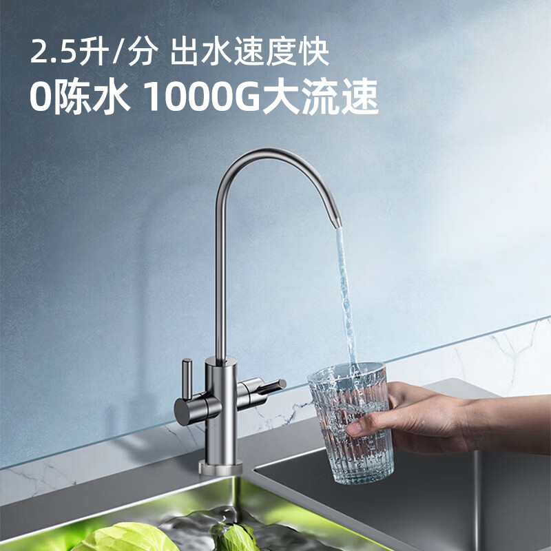 乐喝26新款净水器双出水RO反渗透直饮机家用纯水机厨房自来水过滤净水机壁挂管线机前置过滤器三件套装 G=双出水净水器+备用滤芯1套
