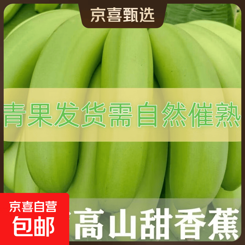 京喜加云南高山甜香蕉水果 青果自行催熟表皮是花皮香蕉日日鲜 带箱2斤