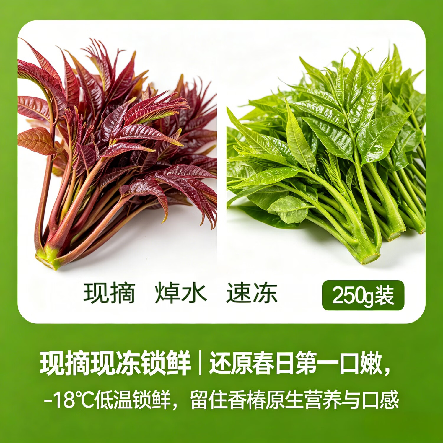 ?头茬香椿王炸神价｜39.9两袋装！全年尝鲜，春日味道即刻拥有～