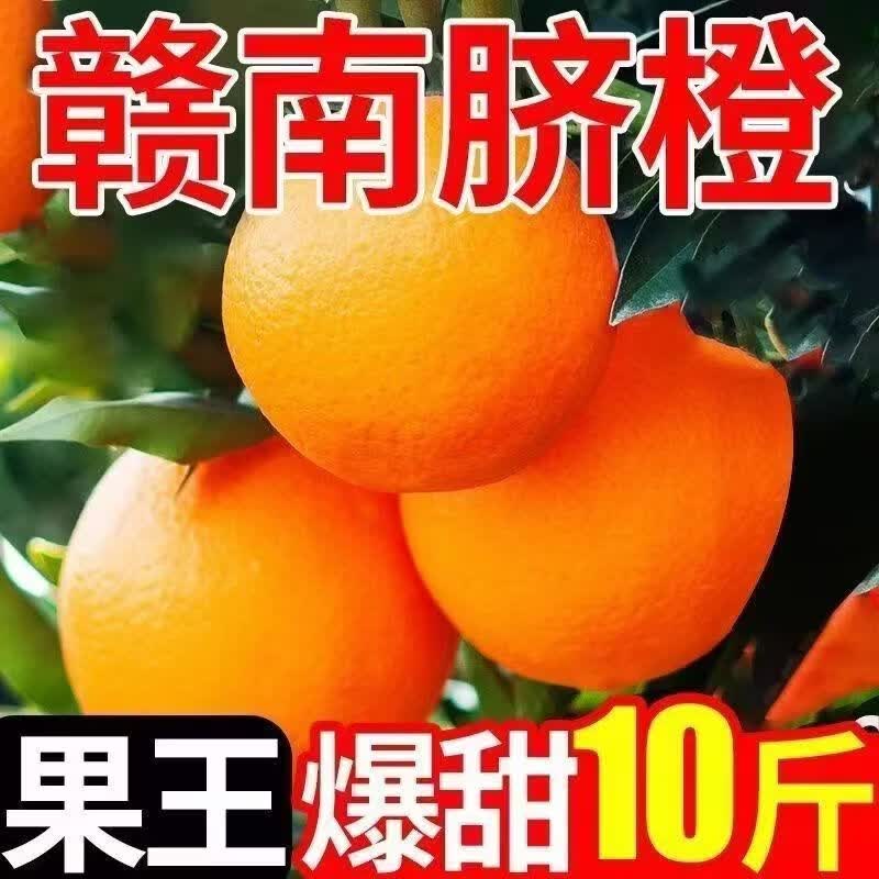 果园直发新鲜现摘爆甜多汁赣南脐橙 9-10斤 5-6斤-大果