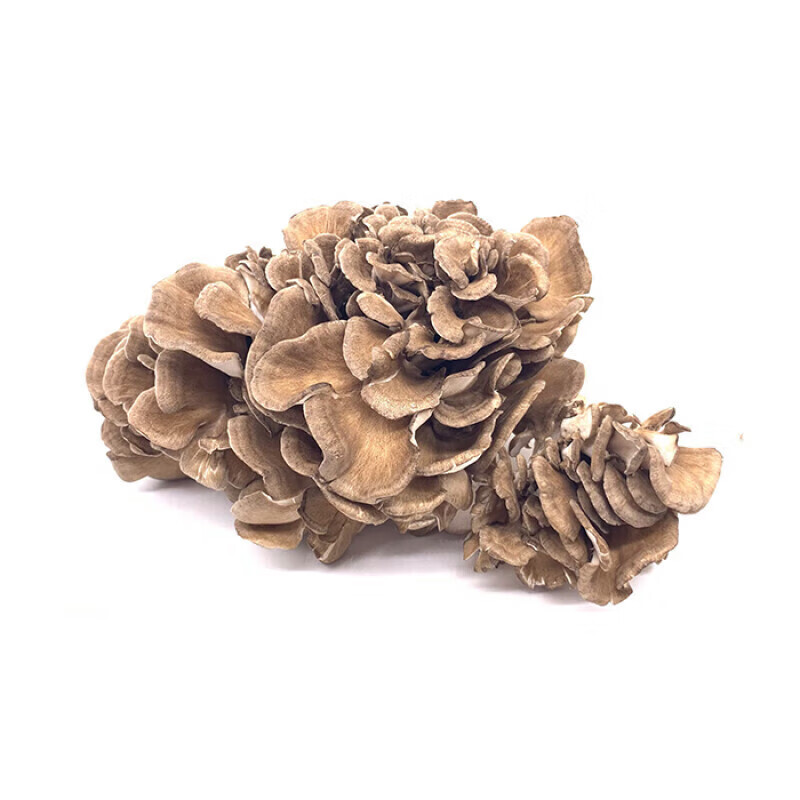 生果乐新鲜舞茸菌150g 日本舞茸 灰树花 火锅煮汤 150g